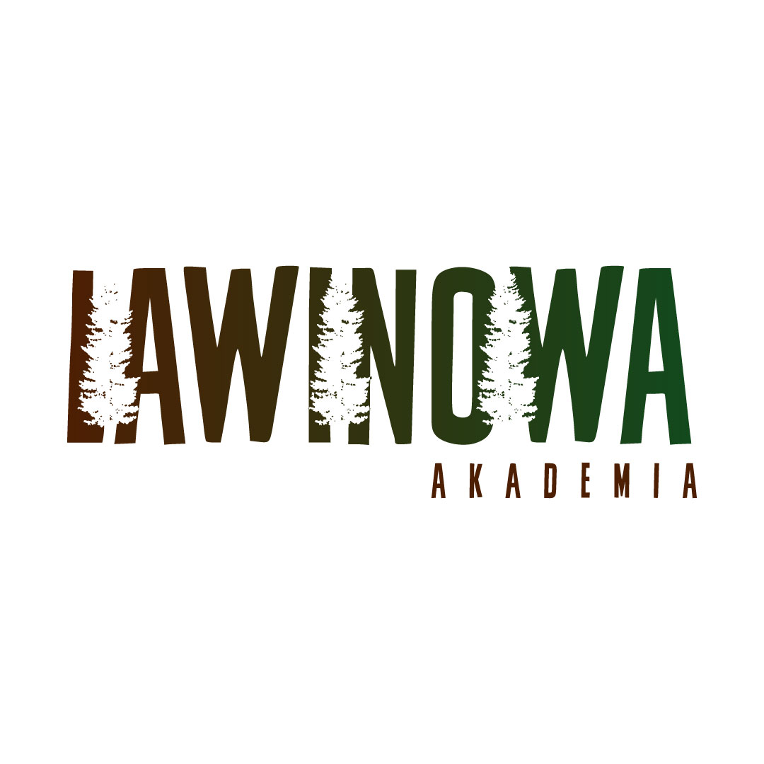 Akademia Lawinowa